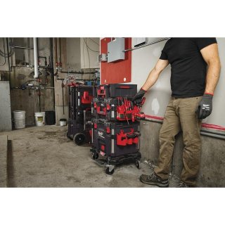 PACKOUT Seitenhalterung f.langeWerkzeuge Bild 2