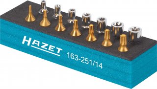 HAZET Werkzeug Satz ∙ TORX® 163-251/14 ∙ 1/4 Zoll (6,3 mm) Vierkant hohl ∙ Außen TORX® Profil | Innen TORX® Profil ∙ 14-teilig ∙  Bild 3