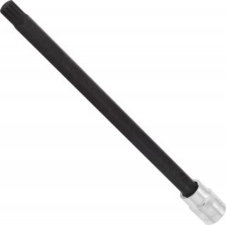 VIGOR Innenvielzahn Schraubendreher-Einsatz ∙ XZN ∙ V6129 ∙ 3/8 Zoll (10 mm) Vierkant hohl ∙ Innen Vielzahn Profil XZN ∙ SW M10 Bild 1