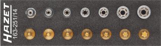 HAZET Werkzeug Satz ∙ TORX® 163-251/14 ∙ 1/4 Zoll (6,3 mm) Vierkant hohl ∙ Außen TORX® Profil | Innen TORX® Profil ∙ 14-teilig ∙  Bild 1