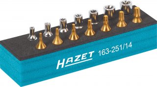 HAZET Werkzeug Satz ∙ TORX® 163-251/14 ∙ 1/4 Zoll (6,3 mm) Vierkant hohl ∙ Außen TORX® Profil | Innen TORX® Profil ∙ 14-teilig ∙  Bild 2