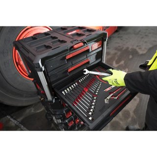 PACKOUT Ringmaul. und Zg. Einl. 19-tlg. Bild 3