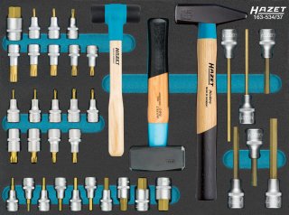 HAZET Schraubendreher-Steckschlüsseleinsatz Satz 163-534/37 ∙ 1/2 Zoll (12,5 mm) Vierkant hohl ∙ Innen TORX® Profil | Innen Sechs Bild 1