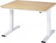 Werktisch elektrisch höhenverstellbar | B1250xT1000xH720-1120mm | B-Platte-25 mm Werktisch elektrisch höhenverstellbar | B1250xT1000xH720-1120mm | B-Platte-25 mm