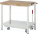 Werkbank mit Fahrgestell 8000-6 | B1000xT700xH880mm