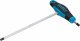 HAZET Schraubendreher ∙ mit T-Griff 829KK-6 ∙ Innen Sechskant Profil ∙ SW 6 mm