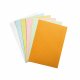 Exacompta Karteikarte 10336E DIN A4 blanko rosa 100 St./Pack. Exacompta Karteikarte 10336E DIN A4 blanko rosa 100 St./Pack.