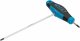 HAZET Schraubendreher ∙ mit T-Griff 829KK-2 ∙ Innen Sechskant Profil ∙ SW 2 mm