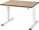 Werktisch elektrisch höhenverstellbar | B1250xT1000xH720-1120mm | F-Platte-22 mm Werktisch elektrisch höhenverstellbar | B1250xT1000xH720-1120mm | F-Platte-22 mm