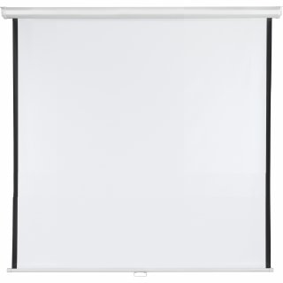 Franken Rolloleinwand LWR22424 240x240cm