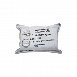 Scheibenschwamm/Displaycleaner