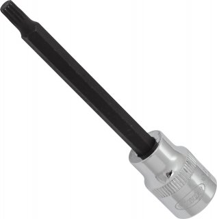 VIGOR Innenvielzahn Schraubendreher-Einsatz ∙ XZN ∙ V6114 ∙ 3/8 Zoll (10 mm) Vierkant hohl ∙ Innen Vielzahn Profil XZN ∙ SW M5