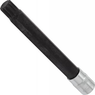 VIGOR Innenvielzahn Schraubendreher-Einsatz ∙ XZN ∙ V6127 ∙ 3/8 Zoll (10 mm) Vierkant hohl ∙ Innen Vielzahn Profil XZN ∙ SW M14
