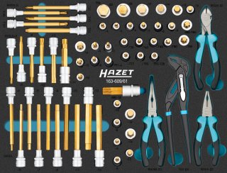 HAZET Schraubendreher-Steckschlüsseleinsatz Satz 163-609/61 ∙ 1/2 Zoll (12,5 mm) Vierkant hohl ∙ Innen TORX® Profil | Innen Sechs