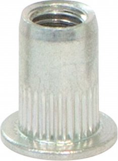 Beutel mit 50 Blindnietmuttern M8