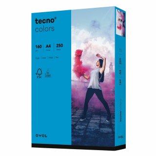 inapa tecno Kopierpapier Colors 2100011372 A4 160g int.blau 250Bl.