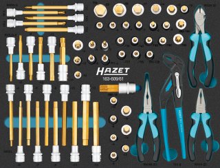 HAZET Schraubendreher-Steckschlüsseleinsatz Satz 163-609/61 ∙ 1/2 Zoll (12,5 mm) Vierkant hohl ∙ Innen TORX® Profil | Innen Sechs