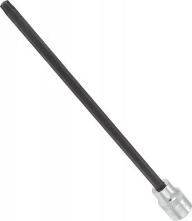 VIGOR T Schraubendreher-Einsatz ∙ V6100 ∙ 3/8 Zoll (10 mm) Vierkant hohl ∙ Innen TORX® Profil ∙ SW T40