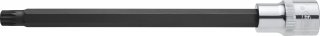 VIGOR Innenvielzahn Schraubendreher-Einsatz ∙ XZN ∙ V2134 ∙ 1/2 Zoll (12,5 mm) Vierkant hohl ∙ Innen Vielzahn Profil XZN ∙ SW M1