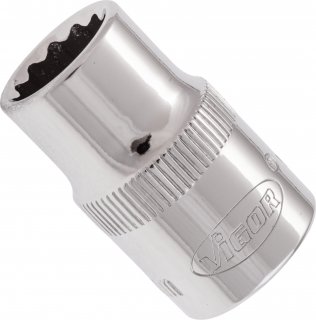 VIGOR Doppelsechskant Steckschlüsseleinsatz ∙ V7538-10 ∙ 3/8 Zoll (10 mm) Vierkant hohl ∙ Außen Doppelsechskant Profil ∙ SW 10 m