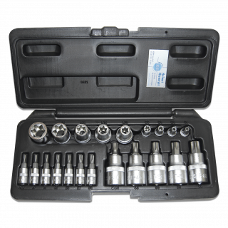 Schraubendreher-Einsatz