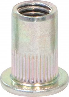 Beutel mit 50 Blindnietmuttern M10