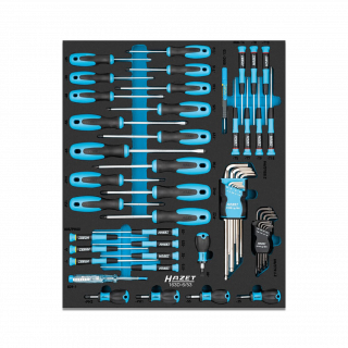 HAZET Schraubendreher Satz 163D-6/53 ∙ Innen Sechskant Profil | Innen TORX® Profil | Kreuzschlitz Profil PH | Pozidriv Profil PZ | S