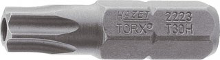 TORX-SCHRAUBENDREHER-EINSATZ (BIT)