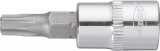 VIGOR T Schraubendreher-Einsatz ∙ V2446N ∙ 1/4 Zoll (6,3 mm) Vierkant hohl ∙ Innen TORX® Profil ∙ SW T30