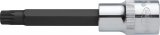 VIGOR Innenvielzahn Schraubendreher-Einsatz ∙ XZN ∙ V2060 ∙ 1/2 Zoll (12,5 mm) Vierkant hohl ∙ Innen Vielzahn Profil XZN ∙ SW M1