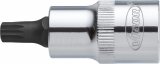 VIGOR Innenvielzahn Schraubendreher-Einsatz ∙ XZN ∙ V2099 ∙ 1/2 Zoll (12,5 mm) Vierkant hohl ∙ Innen Vielzahn Profil XZN ∙ SW M1