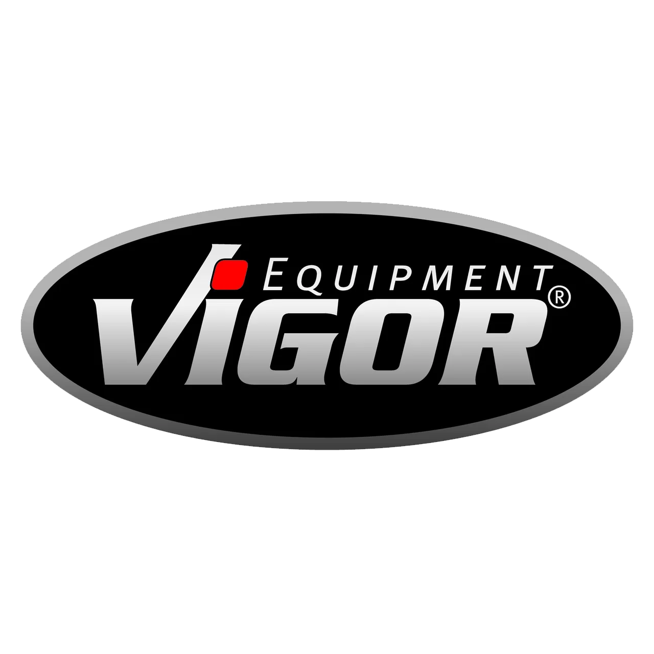 Logo VIGOR